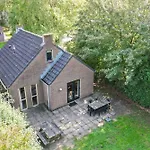 6 - Persoons Forest 209 *