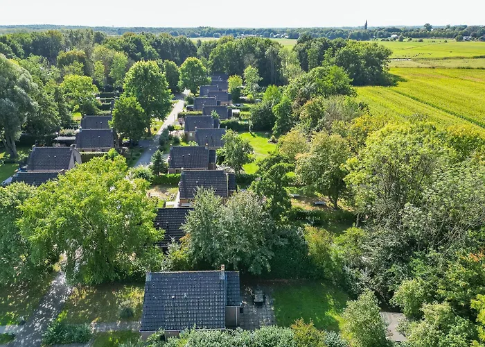 6 - Persoons Forest 209 * Ewijk